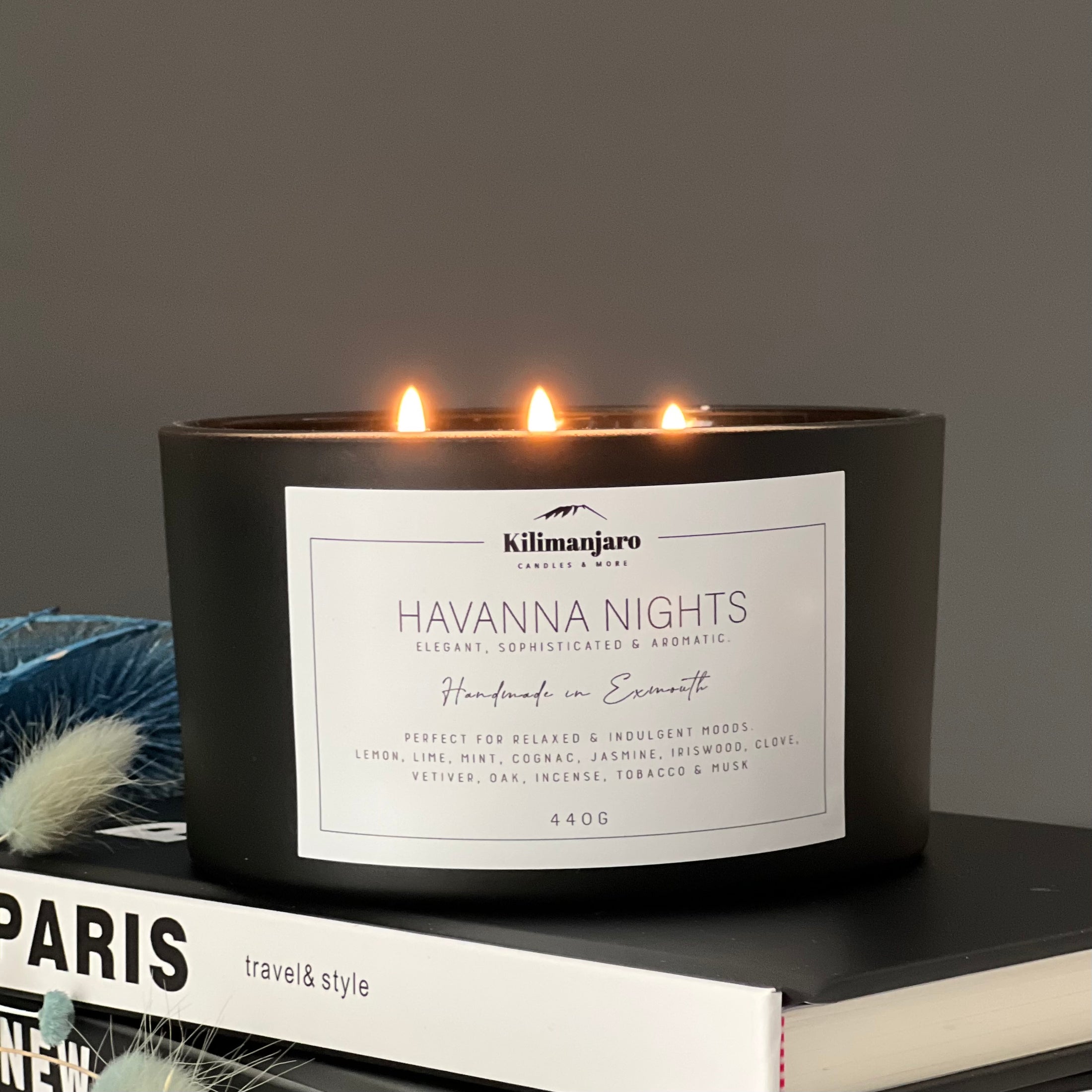 Havanna Nights Scented Candle | 3 Wick